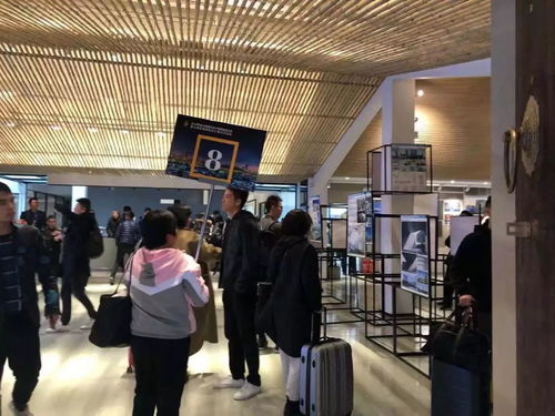 文投會務(wù)丨2019年度全國建筑設(shè)計(jì)創(chuàng)新創(chuàng)優(yōu)大會暨全國優(yōu)秀建筑設(shè)計(jì)展示交流會后勤保障工作圓滿完成